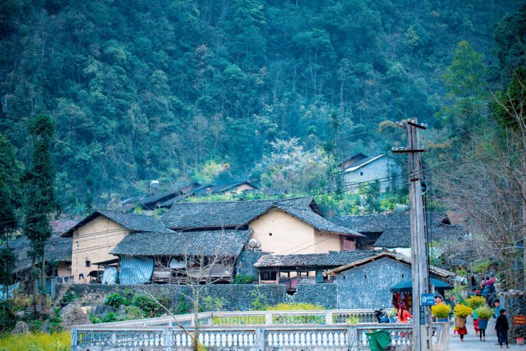 Pao’s House – A Cultural Stop In The Heart Of Ha Giang